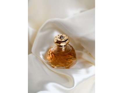 WhatsApp Image 2025 02 24 at 15.18.51