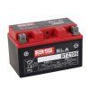 sla btz10s 300636 1 bat r ld