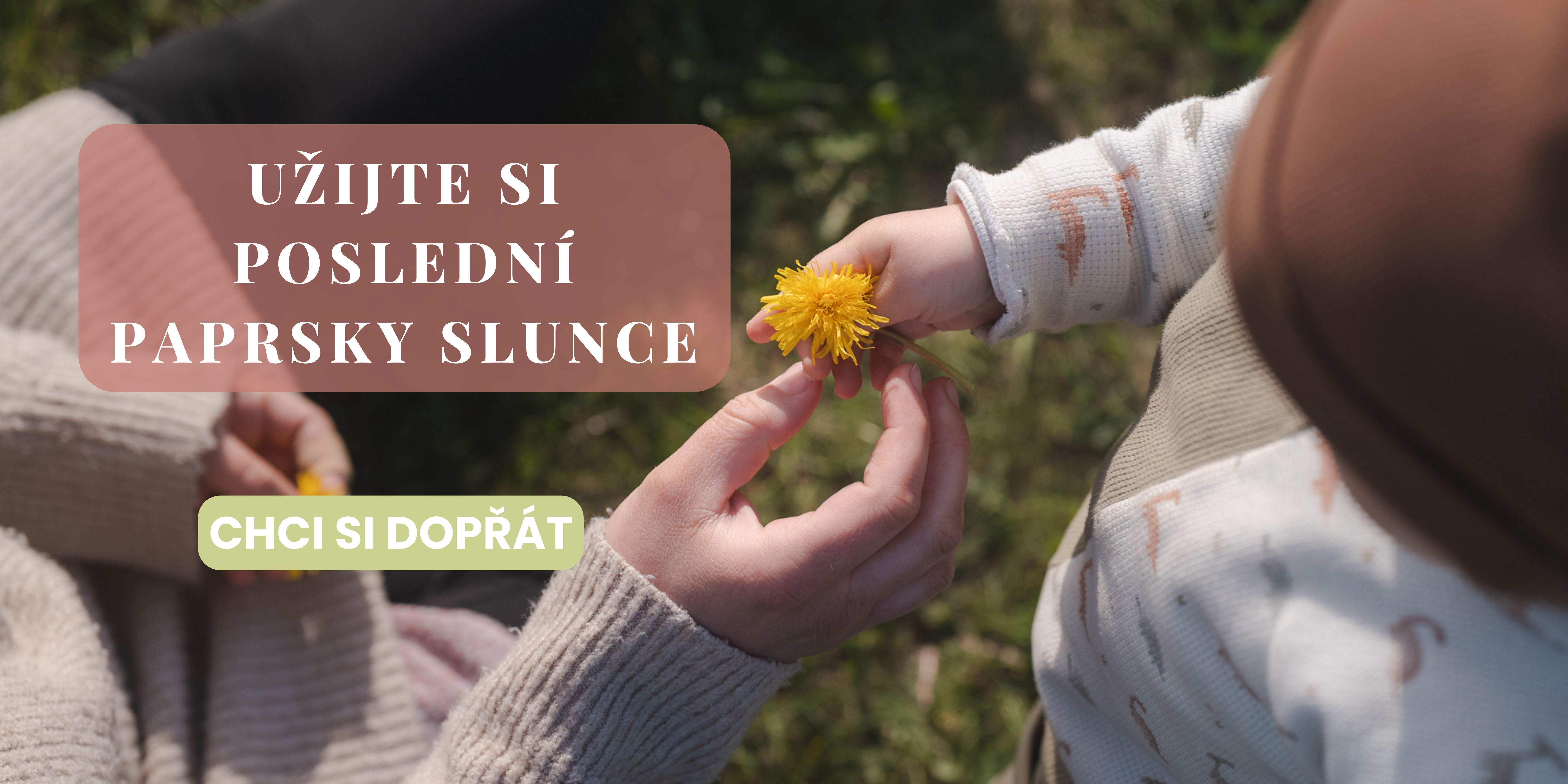 Poslední paprsky slunce