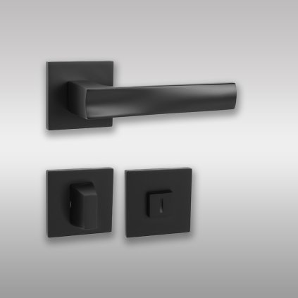 F5847652 4D35 48FF 95AE FFAED83448001 mp holly cierna