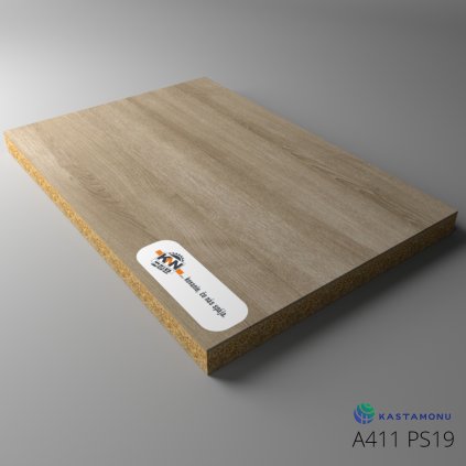 B1B076D3 5832 4118 B21B AA15FFBEE3FC900189 A411 PS19 Board 01