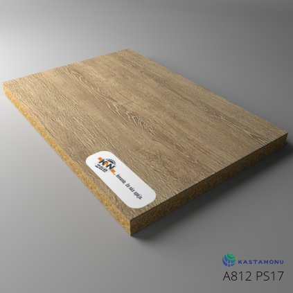 10BD9694 71DB 48AE A0E3 39556E319D6D900081 A812 PS17 Board 01