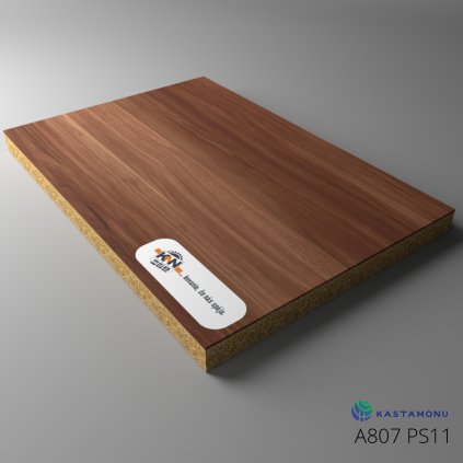 DA4FF9C3 B829 40A0 8B40 CB4D529A1F0C900073 A807 PS11 Board 01