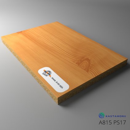 15321E77 8EC3 4A2B B539 56504E81823F900084 A815 PS17 Board 01