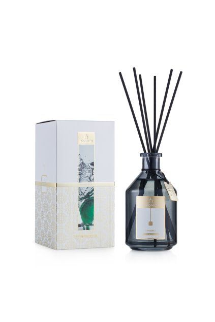 Gingerly Diffuser+Stick+Pack Still Life 2024