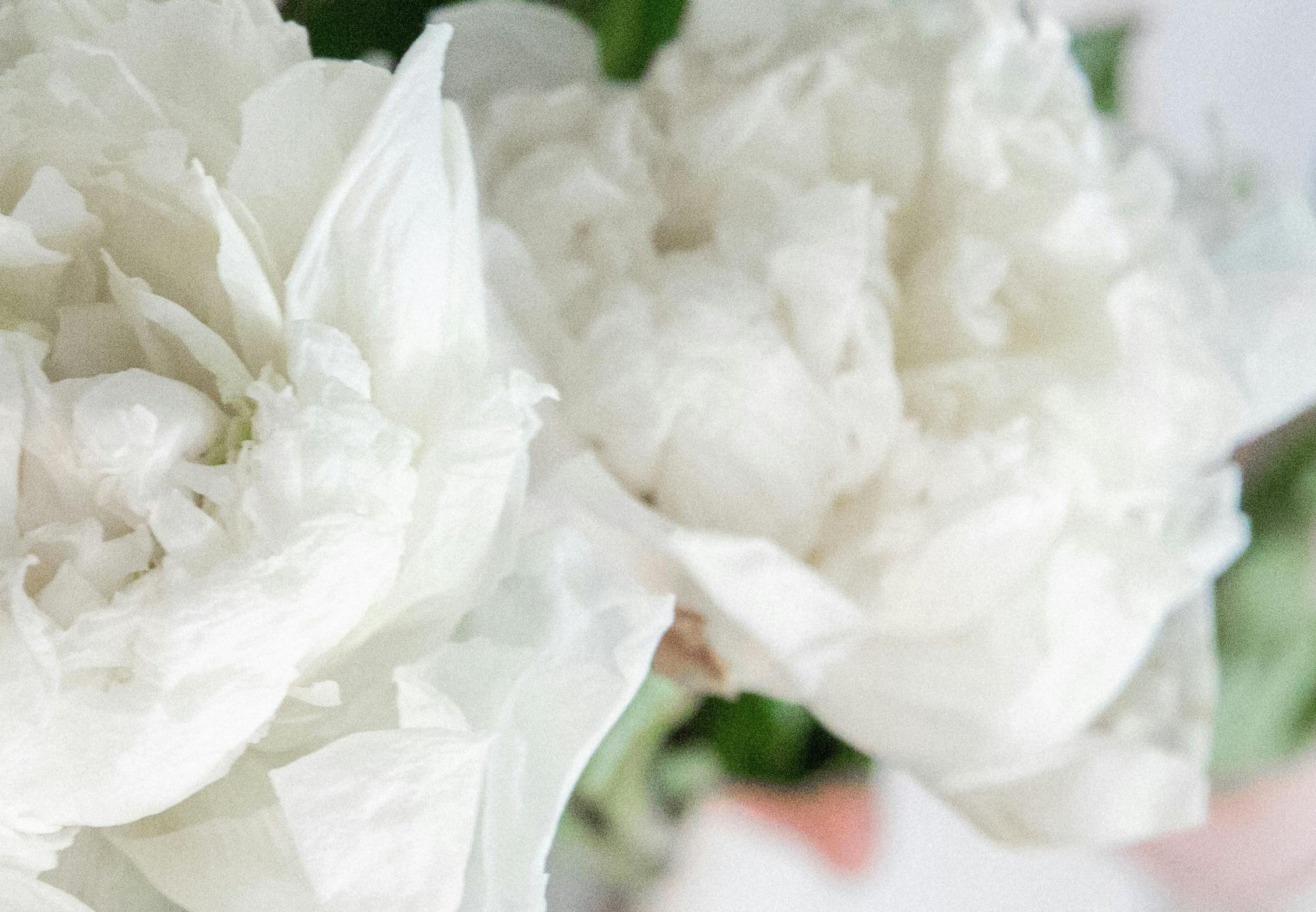 TOP 5 tavaszi parfüm férfiaknak