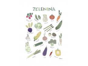 plakat zelenina