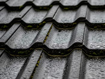 srovnání betonových tašek s impregnací a bez - vlevo zarůstání mechem, vpravo čistá naimpregnovaná střecha