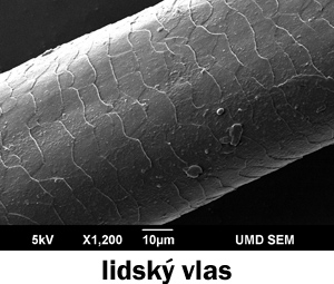 nanotechnologie - lidský vlas