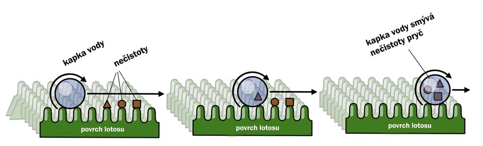 nanotechnologie-samočistící efekt