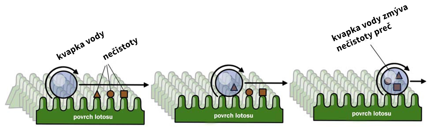 nanotechnológia-samočistiaci efekt