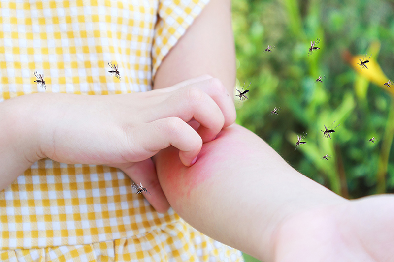 8 rad jak chránit své dítě před bodnutím hmyzem