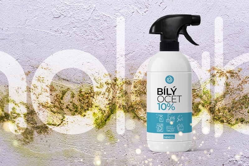 Jak umýt plíseň ze zdi bílým octem?