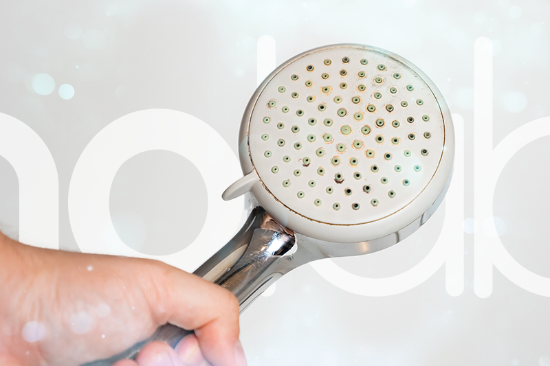 Jak vyčistit sprchovou hlavici od špíny i vodního kamene?
