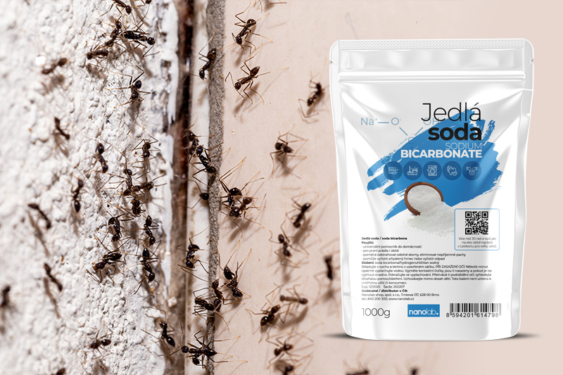 Jak na mravence s jedlou sodou?