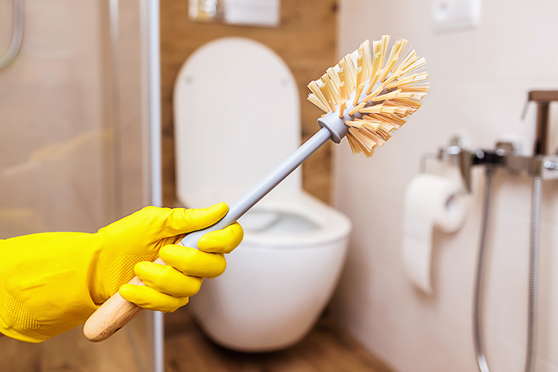 TIP #49 Jak odstranit zápach z WC kartáče?
