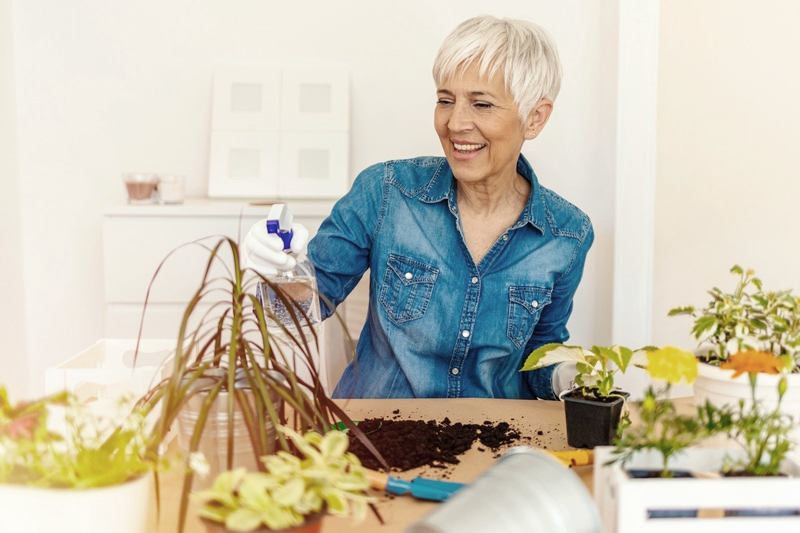 TIP #7: Dajte svojim rastlinám maškrtu