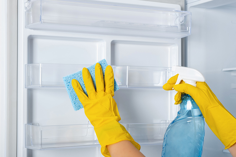 TIP #50 Jak na špínu a zbytky jídla v lednici a mrazáku?