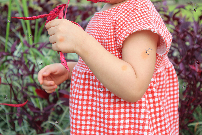 Proč kousnutí komárem svědí?