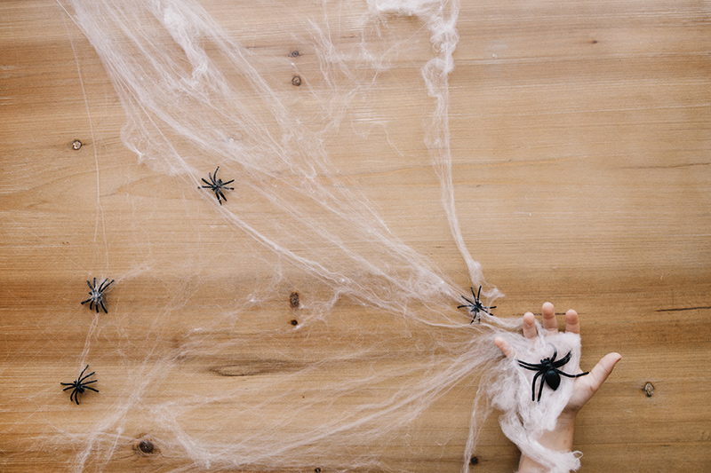 TIP #42 Nie, ďakujem, pán Spider. Dnes tu nezostanete!