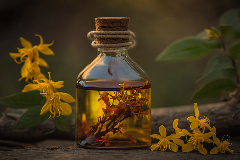 Benzyl Benzoate: přírodní látka vyskytující se v rostlinách