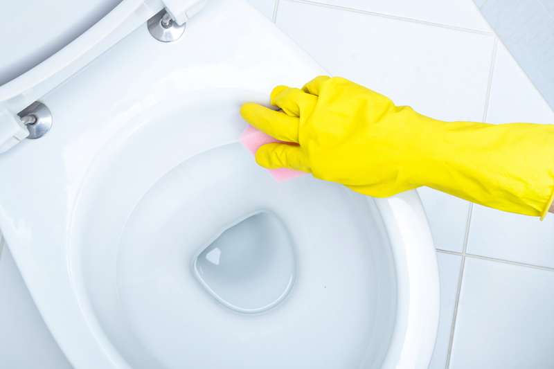 TIP #5: Čištění záchodové mísy