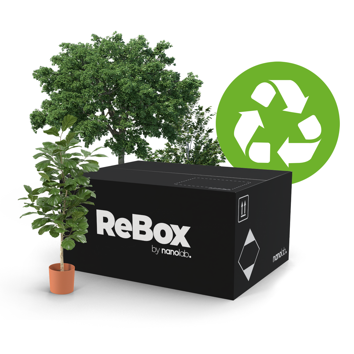 rebox_obrazek
