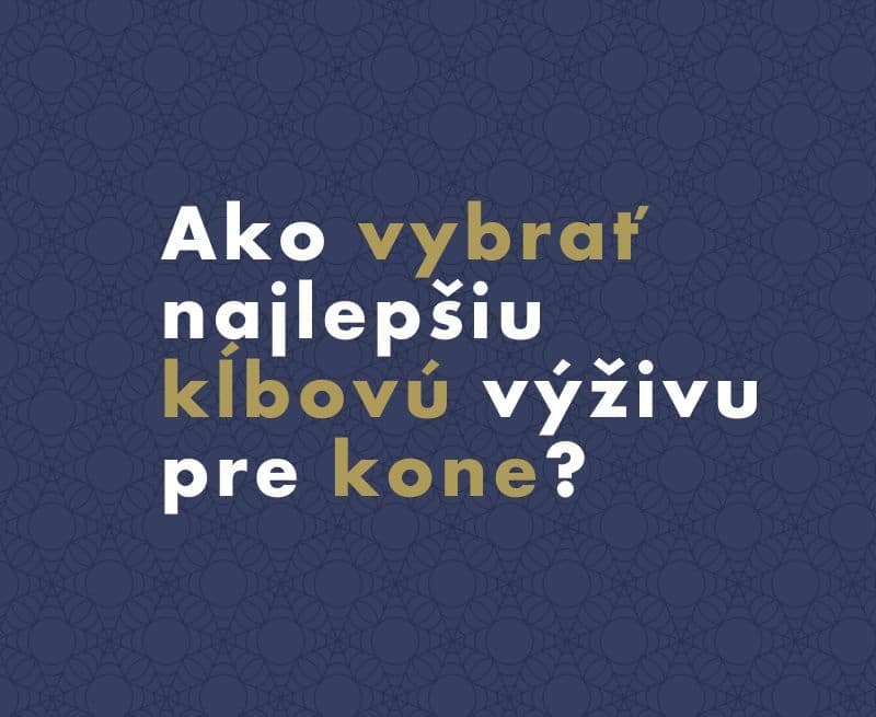 Ako vybrať najlepšiu kĺbovú výživu pre kone