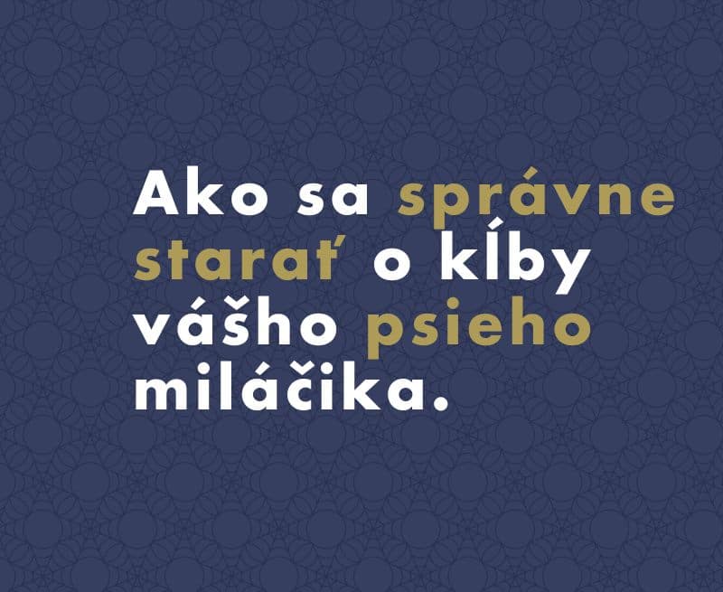 Ako vybrať najlepšiu kĺbovú výživu pre psa