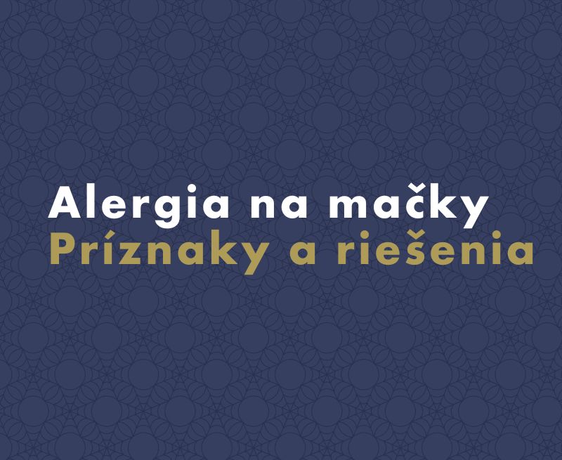 Alergia na mačky: Príznaky a riešenia