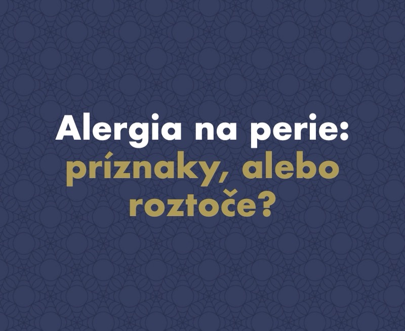 Alergia na perie: príznaky, alebo sa za ňou skrývajú roztoče?