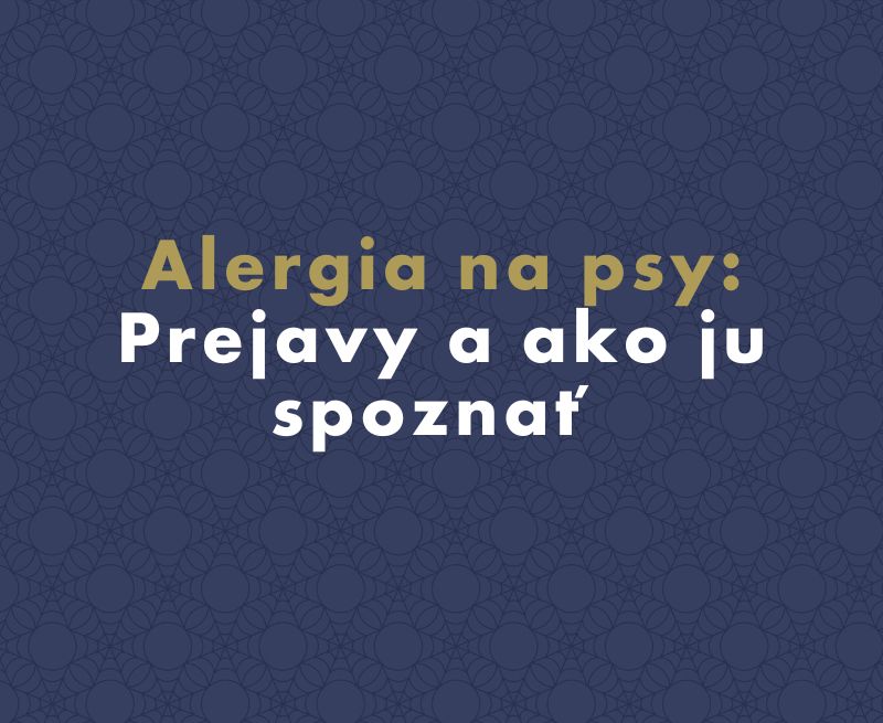 Alergia na psy: Prejavy a ako ju spoznať