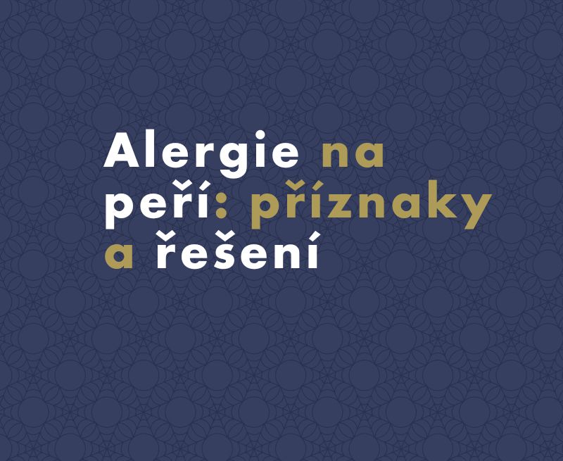 Alergie na peří: příznaky a řešení