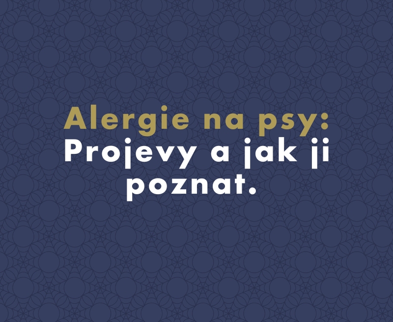 Alergie na psy: Projevy a jak ji poznat