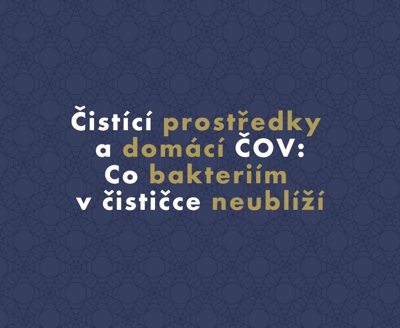Čistící prostředky a domácí ČOV: Co bakteriím v čističce neublíží