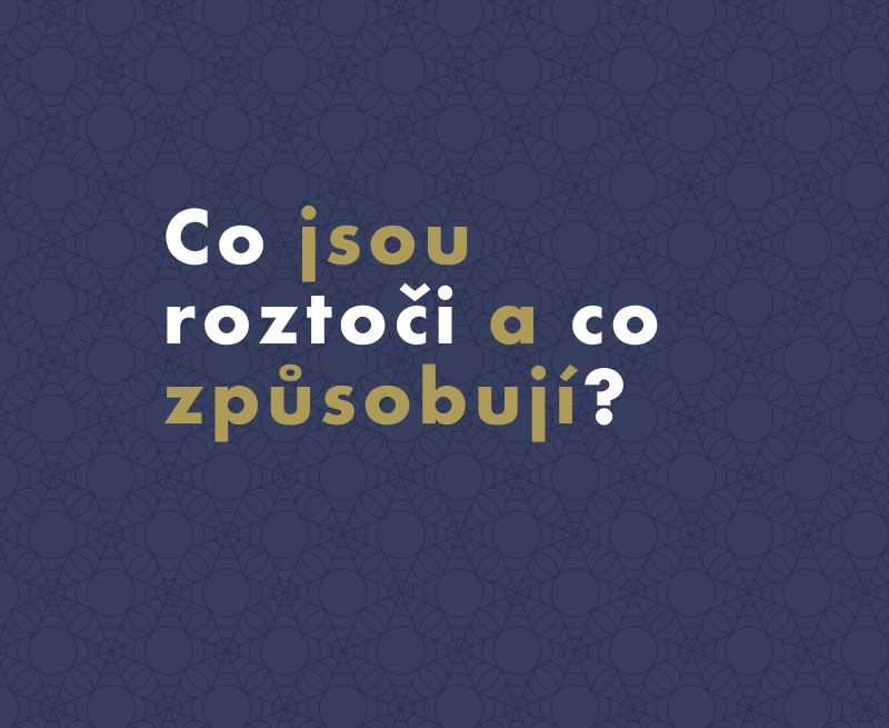 Roztoči: Vše, co byste měli vědět