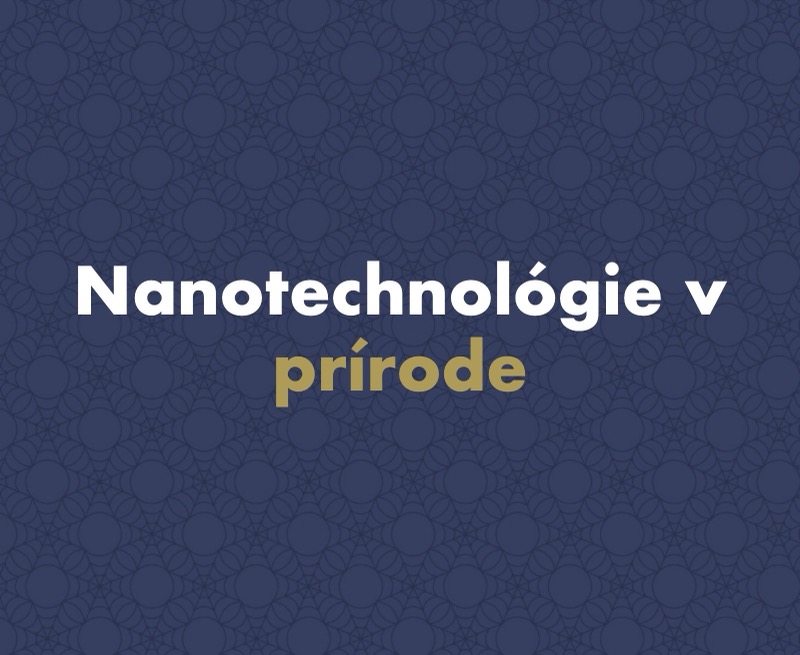 Čo sú nanotechnológie a kde sa s nimi v prírode stretneme