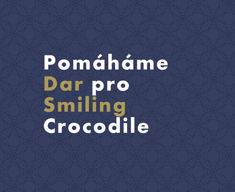 Dar v hodnotě 190 tisíc pro školku Smiling Crocodile