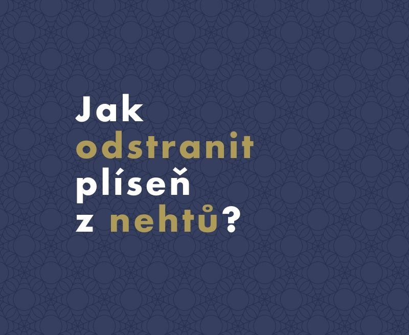 Jak odstranit plíseň z nehtů (onychomykózu) i bez předpisu