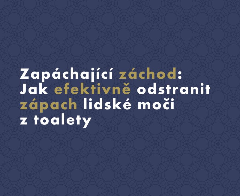 Zapáchající záchod: Jak efektivně odstranit zápach lidské moči z toalety