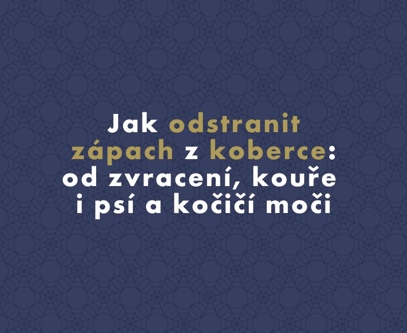 Jak odstranit zápach z koberce: od zvracení, kouře i psí a kočičí moči