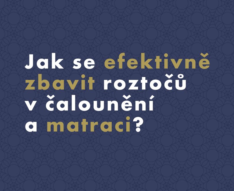 Jak se efektivně zbavit roztočů v čalounění a matraci?