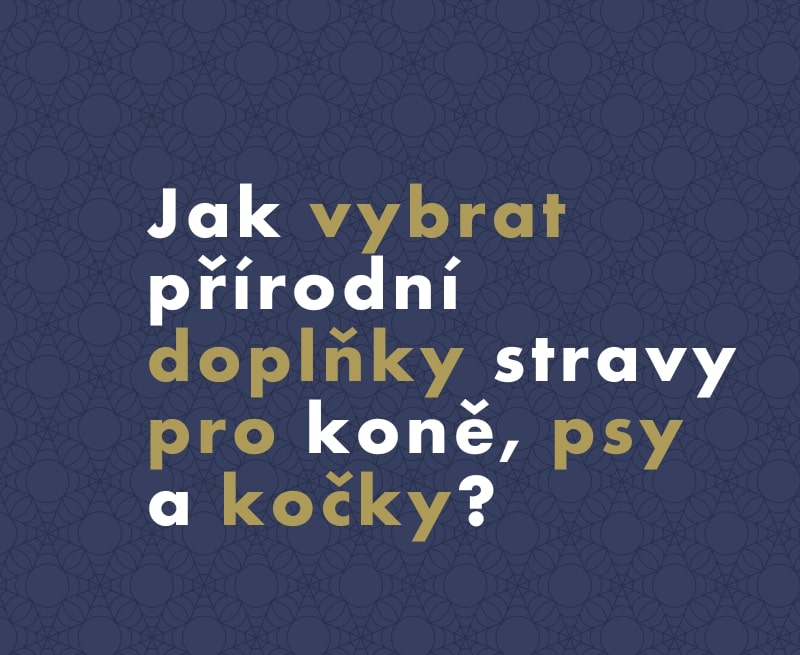 Jak vybrat přírodní doplňky stravy pro koně, psy a kočky?