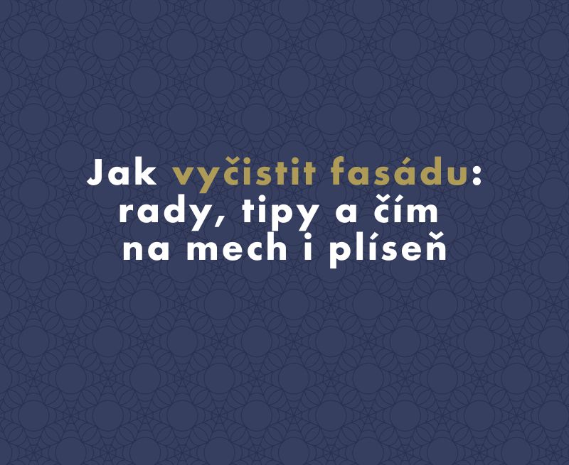 Jak vyčistit fasádu: rady, tipy a čím na mech i plíseň