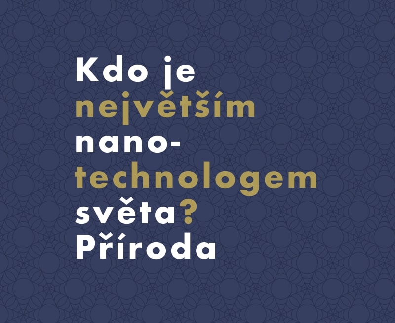 Co jsou nanotechnologie a kde se používají v přírodě?