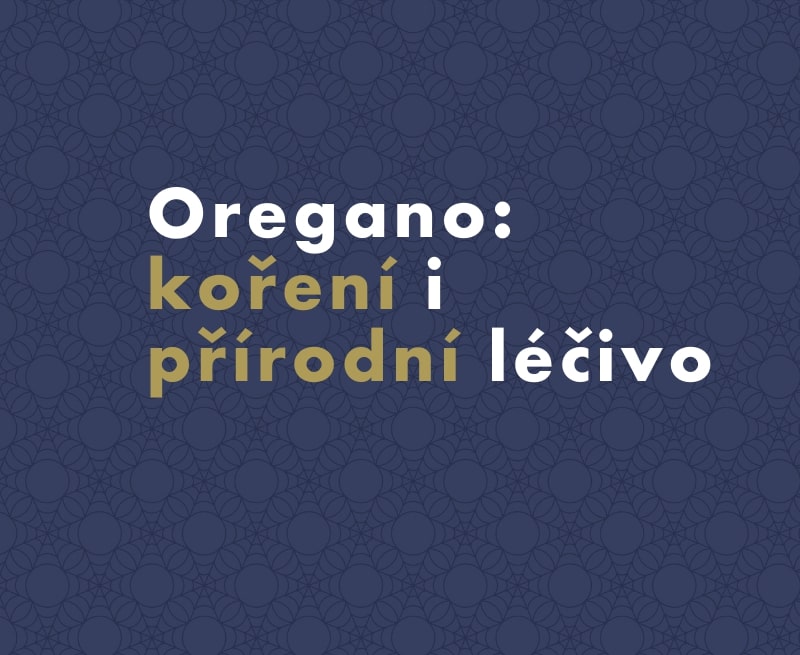 Oregano: koření i přírodní léčivo