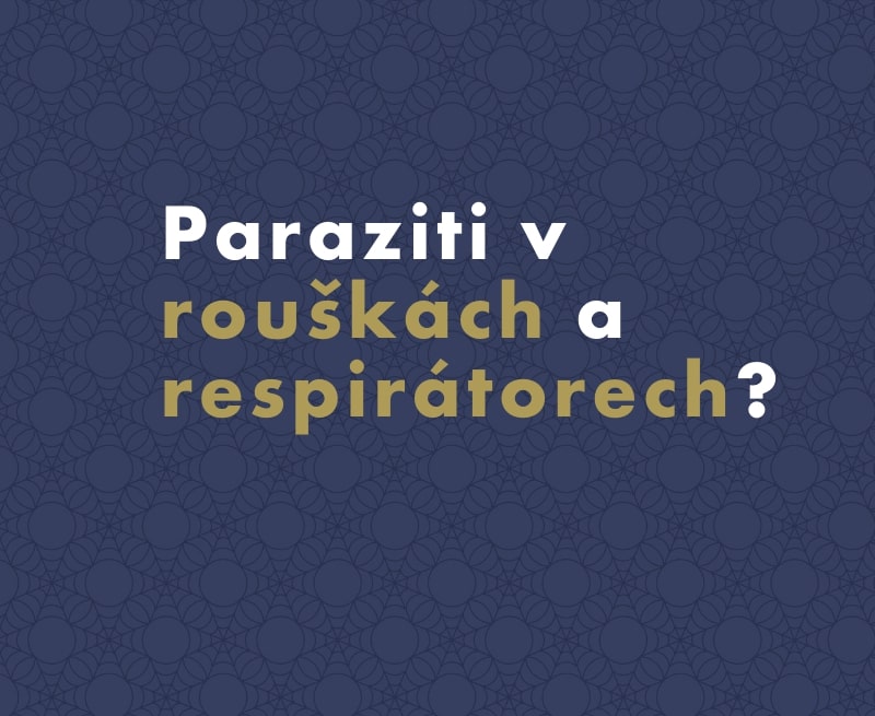 Paraziti v rouškách a respirátorech: nesmysl, nebo holá skutečnost?