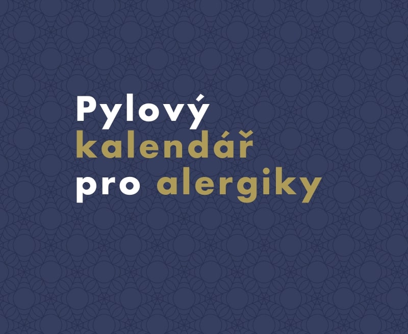 Kalendář alergika: Průvodce alergeny od ledna do prosince