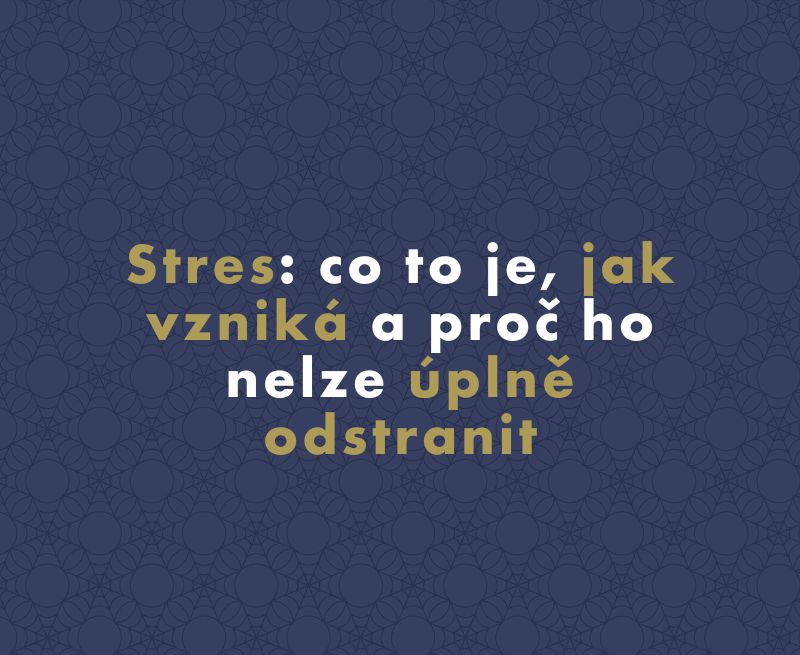 Stres: co to je, jak vzniká a proč ho nelze úplně odstranit