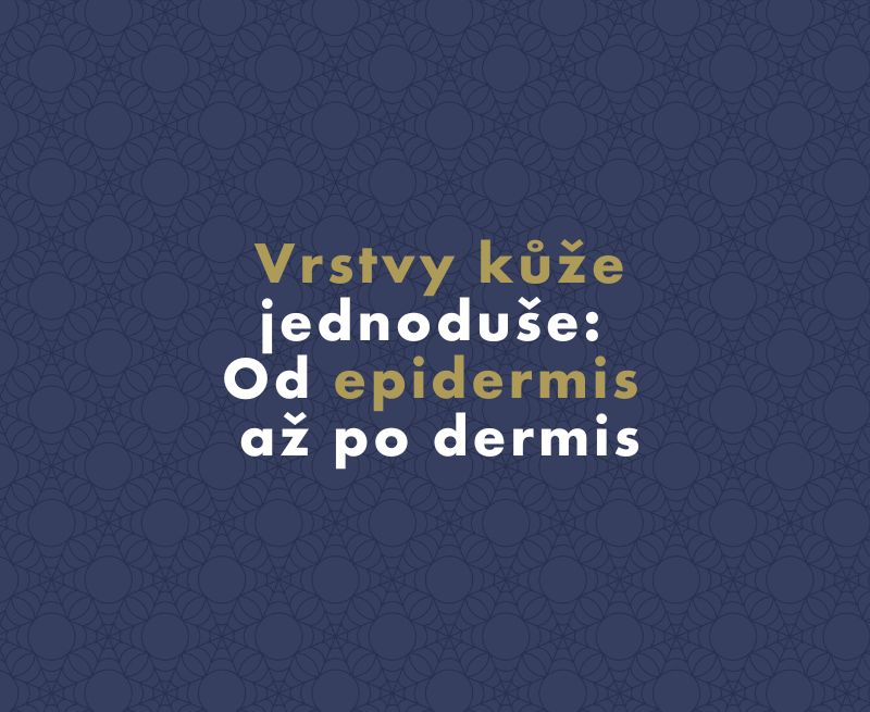 Vrstvy kůže jednoduše: Od epidermis až po dermis